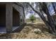 Spacious backyard featuring decorative rock and a mature shade tree at 1742 E Chaparral Dr, Casa Grande, AZ 85122