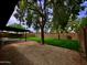 Spacious backyard featuring a covered patio, lush lawn, and mature trees for outdoor living at 3216 E Campo Bello Dr, Phoenix, AZ 85032