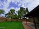Large, grassy backyard enclosed by a block wall, complemented by mature trees and covered patio at 3216 E Campo Bello Dr, Phoenix, AZ 85032