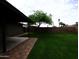 Large, grassy backyard enclosed by a block wall, complemented by mature trees and covered patio at 3216 E Campo Bello Dr, Phoenix, AZ 85032
