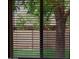 View from a window of a mature tree and the exterior at 3216 E Campo Bello Dr, Phoenix, AZ 85032