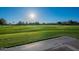 Wide-open green space perfect for outdoor activities and relaxation at 4049 E Arbor Ave, Mesa, AZ 85206