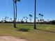 Picturesque golf course featuring mature palm trees and well-maintained lawns in a tranquil setting at 5221 E Mills Ct, Mesa, AZ 85215