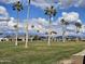 Expansive golf course with tall palm trees set against a beautiful sky and well-manicured grass at 5221 E Mills Ct, Mesa, AZ 85215