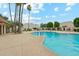A community pool surrounded by palm trees and well-maintained landscaping at 5224 S Monaco Dr, Tempe, AZ 85283