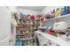 A pantry is fully stocked with food items and cleaning supplies alongside laundry machines at 726 E Rose Marie Ln, Phoenix, AZ 85022