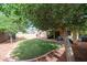 Spacious backyard with manicured lawn and mature trees, providing a serene outdoor retreat at 11746 W Camino Vivaz --, Sun City, AZ 85373