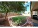 Expansive backyard with lush green grass, mature trees, and a charming swing set, perfect for outdoor activities at 11746 W Camino Vivaz --, Sun City, AZ 85373