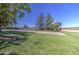 Community park volleyball court surrounded by lush greenery, picnic tables, and open space at 2845 E Irwin Ave, Mesa, AZ 85204