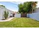 Backyard with grassy area, block fence, cactus, and landscaping at 5438 E Lupine Ave, Scottsdale, AZ 85254