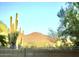 Desert landscape view showcasing saguaro cactus and a distant mountain, blending nature and serenity at 10399 E Hillery Dr, Scottsdale, AZ 85255