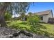 Serene backyard with lush greenery, mature trees, and a tranquil pond featuring rock accents at 1135 W Sea Fog Dr, Gilbert, AZ 85233
