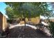 Wide-angle view of backyard with gravel, mature trees, and a built-in grill area at 16528 W Lariat Ln, Surprise, AZ 85387