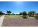 Picturesque view of the neighborhood green space, showcasing lush grass and mature trees at 16528 W Lariat Ln, Surprise, AZ 85387