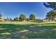 A beautiful, sprawling green space with mature trees and a well-manicured lawn in a lovely community at 17830 N 45Th Ave, Glendale, AZ 85308