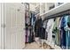 Spacious walk-in closet with built-in shelves, rods for hanging clothes, and carpeted flooring at 3190 S Holguin Way, Chandler, AZ 85248