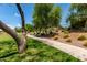 Enjoy a relaxing walk on the paved pathway through the grassy community park with shade trees at 3400 S Whetstone Pl, Chandler, AZ 85286
