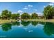 Calm community pond with lush green surroundings and mature trees reflecting in the water at 3400 S Whetstone Pl, Chandler, AZ 85286