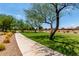 Enjoy a lovely walk on this community sidewalk path next to well manicured green spaces and mature trees at 3400 S Whetstone Pl, Chandler, AZ 85286