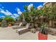 Lounge chairs surround the community pool and are shaded by mature trees at 3900 E Baseline Rd # 137, Phoenix, AZ 85042