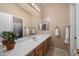 Bright bathroom with long vanity, large mirror, and good lighting at 4281 S Tecoma Trl, Gold Canyon, AZ 85118
