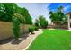 Spacious backyard featuring lush green lawn, mature trees, and flowering vine-covered trellis at 7625 W Dreyfus Dr, Peoria, AZ 85381