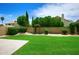 Well-manicured backyard with lush green lawn, mature hedges, and a concrete patio at 7625 W Dreyfus Dr, Peoria, AZ 85381