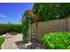 Landscaped backyard with pea gravel and vibrant flowering trellis along a block wall at 7625 W Dreyfus Dr, Peoria, AZ 85381