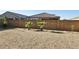Gravel backyard featuring two small palm trees and a tall privacy wall at 1246 E Thomas Dr, Casa Grande, AZ 85122