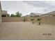 Large, gravel backyard featuring a block wall, three palm trees, and space for customization at 1246 E Thomas Dr, Casa Grande, AZ 85122