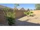 Gravel backyard featuring trees and a privacy wall, offering serene outdoor living at 1246 E Thomas Dr, Casa Grande, AZ 85122