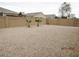 Spacious gravel backyard enclosed by a block wall, accentuated with young palm trees at 1246 E Thomas Dr, Casa Grande, AZ 85122