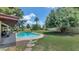 Inviting backyard with a sparkling swimming pool, lush lawn, and mature palm trees at 1298 E Buffalo St, Chandler, AZ 85225