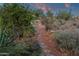 Stone steps winding up a desert hillside, surrounded by native vegetation at 15536 E Heavenly Vista Trl, Fountain Hills, AZ 85268