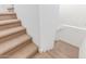 Carpeted staircase with white walls providing access to upper and lower floors at 2046 E Paradise Ln, Phoenix, AZ 85022