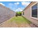 Enclosed backyard with a block wall, grass area, and greenery, providing a private outdoor space at 2286 E Mohave Ln, Apache Junction, AZ 85119