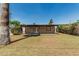 Expansive backyard featuring lush grass, mature landscaping, and covered patio area perfect for entertaining at 2807 N 8Th Ave, Phoenix, AZ 85007
