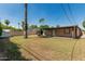 Expansive backyard featuring lush grass, mature landscaping, and covered patio area perfect for entertaining at 2807 N 8Th Ave, Phoenix, AZ 85007