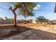 Large backyard featuring a tree, dirt, and brick detailing at 3012 W Butler Dr, Phoenix, AZ 85051
