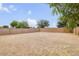 Expansive backyard surrounded by a block wall, featuring desert landscaping and mature trees at 36199 W Prado St, Maricopa, AZ 85138
