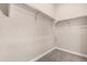 Bright walk-in closet with carpeted floor, shelving and metal bars, ready for storage at 40816 W Sunland Dr, Maricopa, AZ 85138