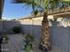 Enclosed backyard featuring desert landscaping, concrete block wall, and a palm tree at 8927 W Paradise Dr, Peoria, AZ 85345