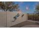 Decorative metal lizards adorn the backyard wall, adding a unique artistic flair to the outdoor space at 10775 E Peralta Canyon Dr, Gold Canyon, AZ 85118