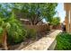 Exterior view of landscaped backyard, pathway, vibrant flora and mature tree providing shade at 1268 N Pine St, Gilbert, AZ 85233
