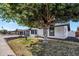 Well-maintained single-story home featuring a spacious yard and mature trees at 156 E Jasmine St, Mesa, AZ 85201