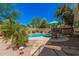 Backyard features an inground pool with lounge and mature vegetation at 194 E Canyon Creek Dr, Gilbert, AZ 85295