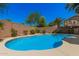 Backyard view showcasing the refreshing in-ground pool surrounded by lush landscaping at 194 E Canyon Creek Dr, Gilbert, AZ 85295