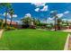 Expansive backyard featuring lush grass, mature palm trees, and a refreshing swimming pool perfect for outdoor relaxation at 10105 E Larkspur Dr, Scottsdale, AZ 85260