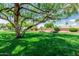 Picturesque park view showcasing a large, shady tree and benches, inviting relaxation and community gathering at 10105 E Larkspur Dr, Scottsdale, AZ 85260