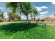 Charming park featuring lush grass, two benches under a large tree, and a view of the neighborhood, ideal for relaxation at 10105 E Larkspur Dr, Scottsdale, AZ 85260